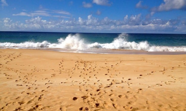 Photography by Coco Harris