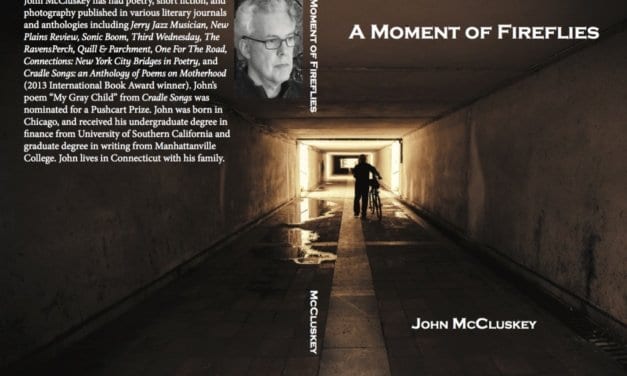 A MOMENT OF FIREFLIES BY JOHN MCCLUSKEY (EXCERPT)
