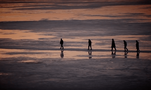The Cold Within 2009