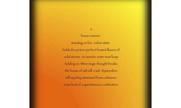 MAGICAL THINKING BY LINDA EVE DIAMOND