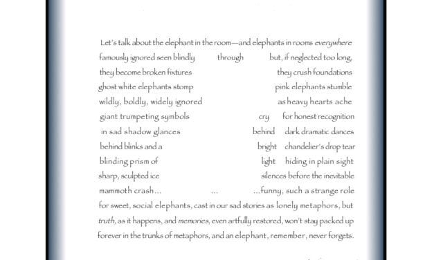 THE ELEPHANT IN THE ROOM BY LINDA EVE DIAMOND