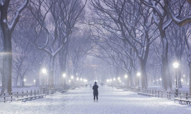 Blow, Blow Thou Winter Wind” — William Shakespeare