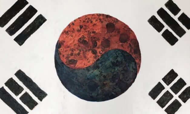 FLAG BY JOHN SHIN