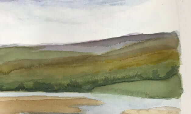 LANDSCAPE BY JOHN SHIN