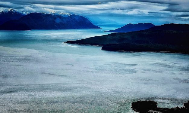 A DISTANT BLUE BY LINDA ALLISON