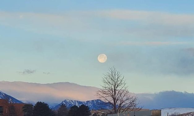 #2 BY JENNIFER GURNEY