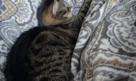 AH-RESTED! BY AGATHA TAITT