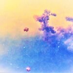 WATER BLOSSOMS BY KATHLEEN JOHNSTON