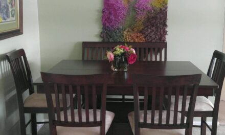 COMFORT ZONE BY AGATHA TAITT