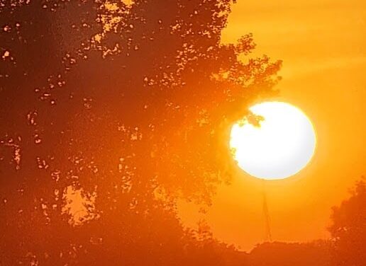 THE WORLD ON FIRE BY RALPH MACIOCI