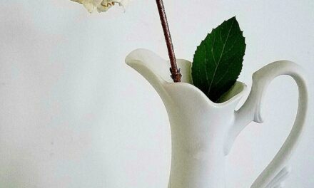 SNOWBALL IN A VASE BY RALPH MACIOCI