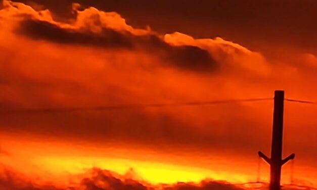 SUNSET AFLAME IN A FIELD BY RALPH MACIOCI
