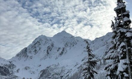 WHAT STILLNESS KNOWS