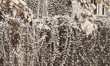 COURTYARD IN SEPIA BY RALPH MACIOCI