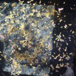 FALL COLORS REIMAGINED BY SUSAN ROBBINS