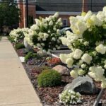 FLOWERS FROM WASHINGTON BY RALPH MACIOCI