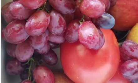 GRAPE DRAPERY OVER APPLES BY RALPH MACIOCI