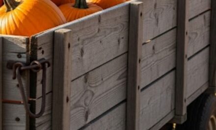 GATHERING PUMPKINS BY RALPH MACIOCI