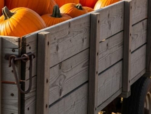 GATHERING PUMPKINS BY RALPH MACIOCI