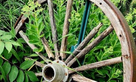 THE LOST WHEEL BY RALPH MACIOCI