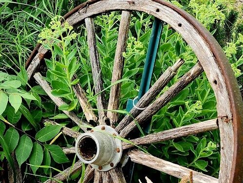 THE LOST WHEEL BY RALPH MACIOCI